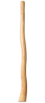 Natural Finish Bell Didgeridoo (TW1055)